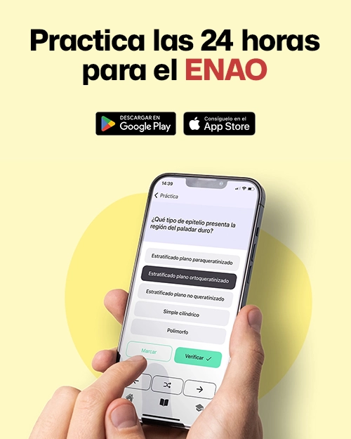 Practica las 24 horas para el ENAO