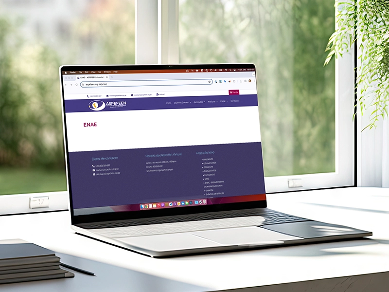 Página web de la ASPEFEEN a finales de diciembre de 2023